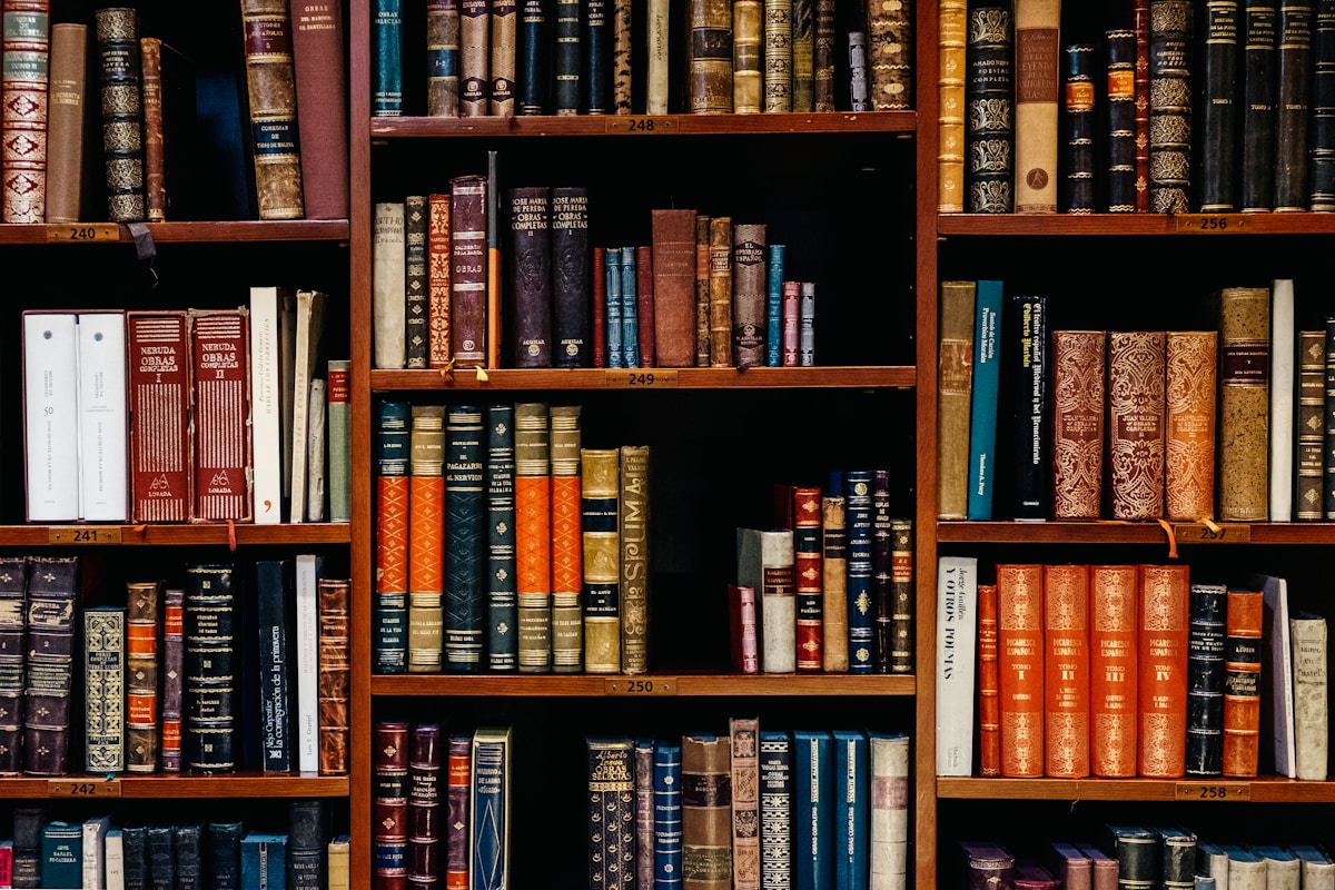 Legal reference volumes and statute books in a professional library
